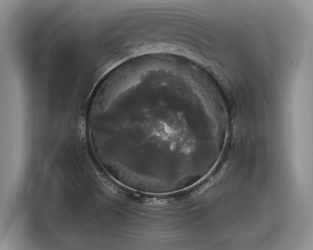 X0000116581505200912171513