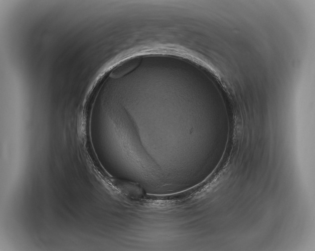 X0000116581506200912171513