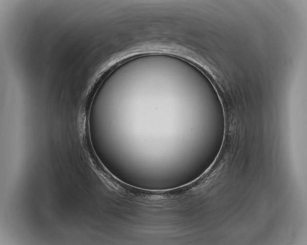 X0000116581507200912171513