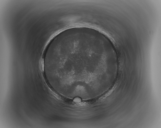 X0000116581509200912171513