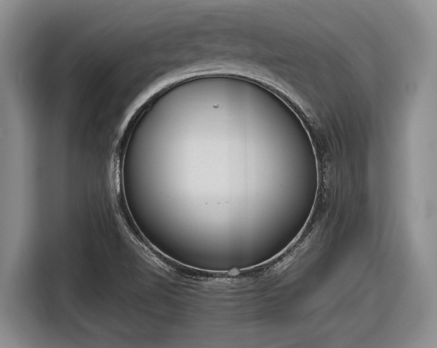 X0000116581510200912171513