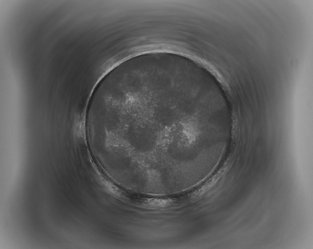 X0000116581513200912171513