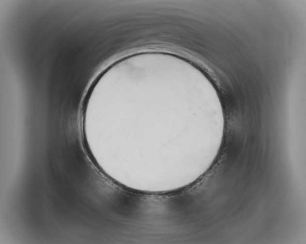 X0000116581514200912171513