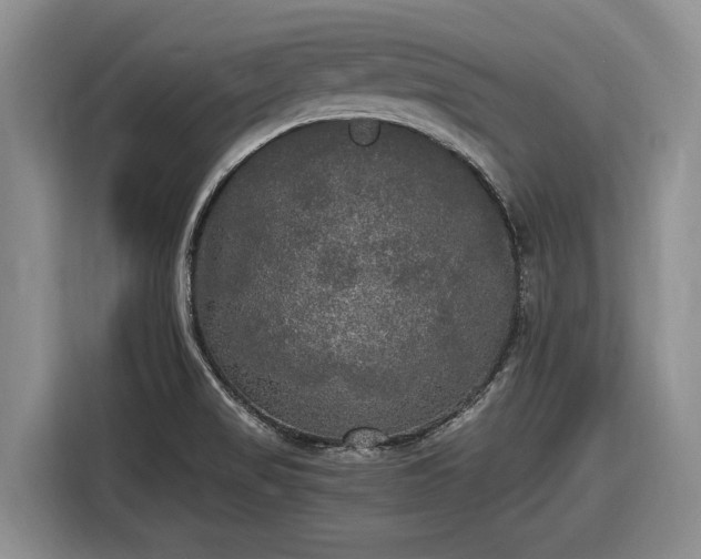 X0000116581517200912171513