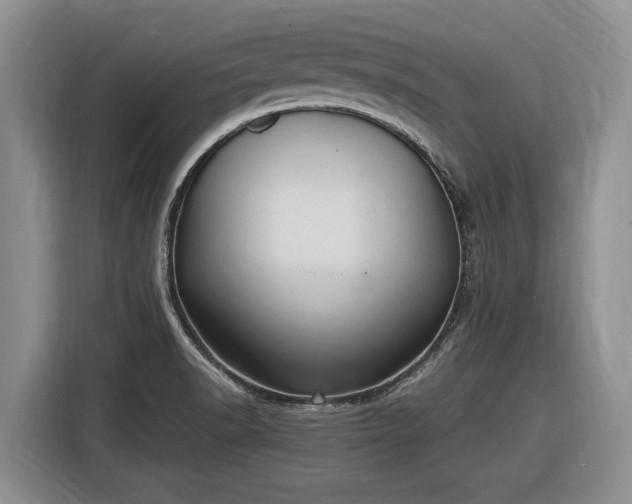 X0000116581518200912171513