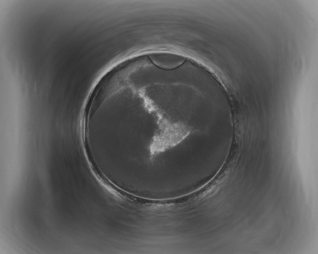 X0000116581519200912171513