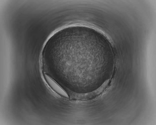 X0000116581522200912171513