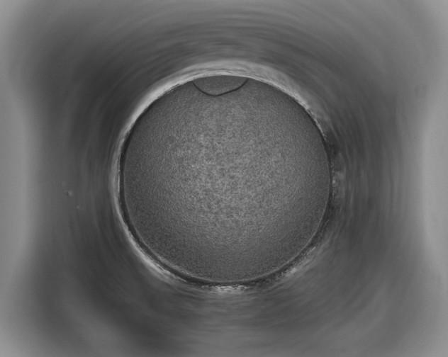 X0000116581523200912171513