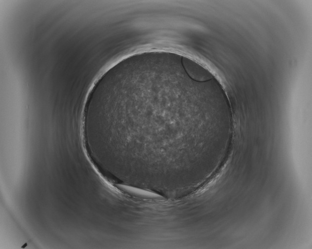 X0000116581525200912171513