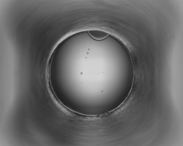 X0000116581526200912171513