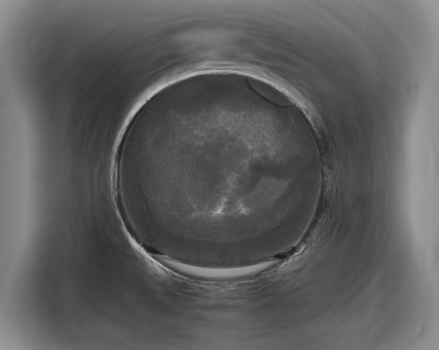 X0000116581527200912171513