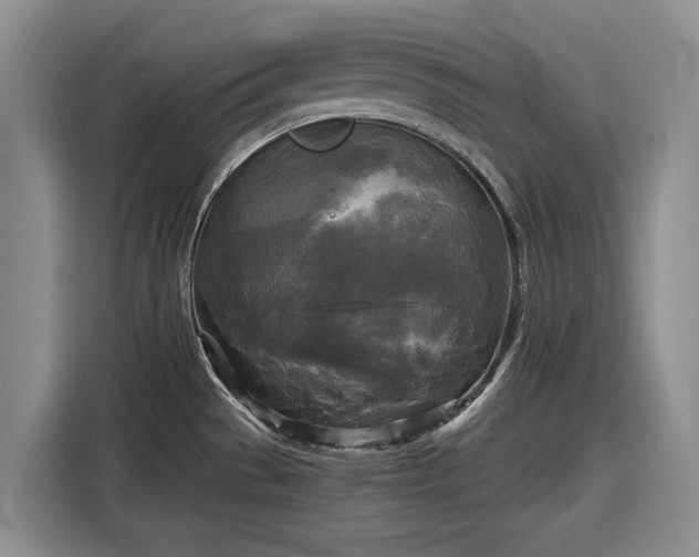 X0000116581529200912171514