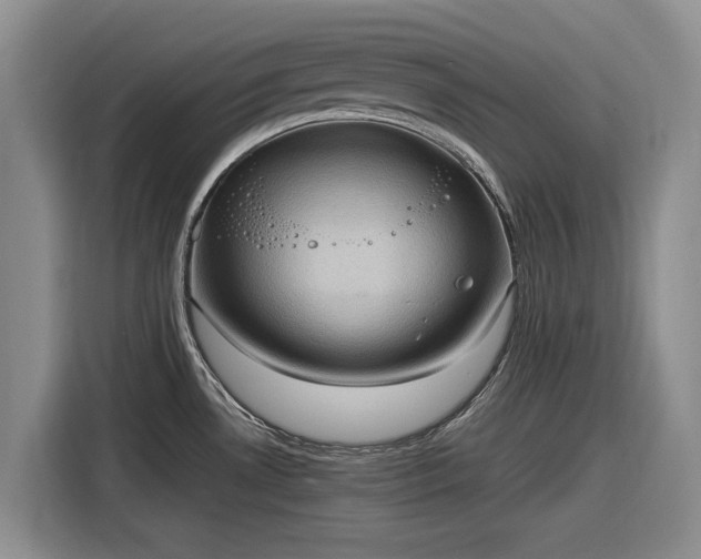 X0000116581530200912171514