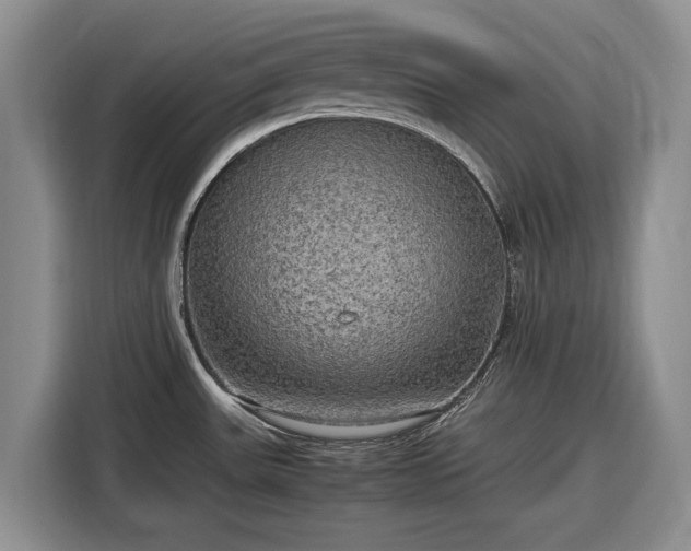 X0000116581531200912171514