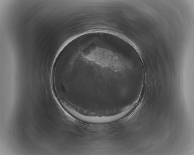 X0000116581533200912171514