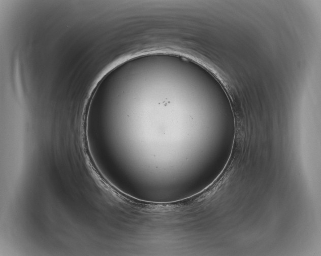 X0000116581534200912171514