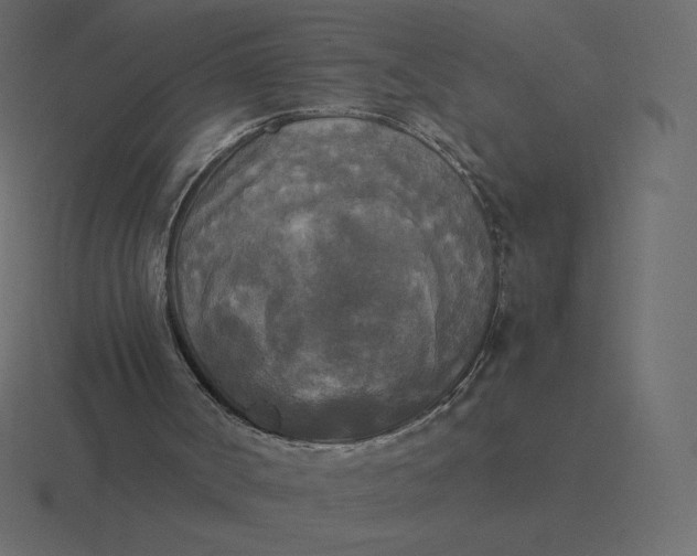 X0000116580002200912241703