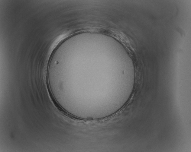 X0000116580003200912241703