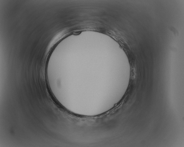 X0000116580004200912241703