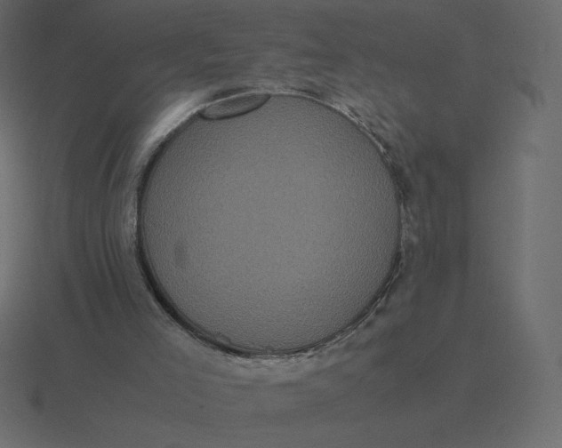 X0000116580005200912241703