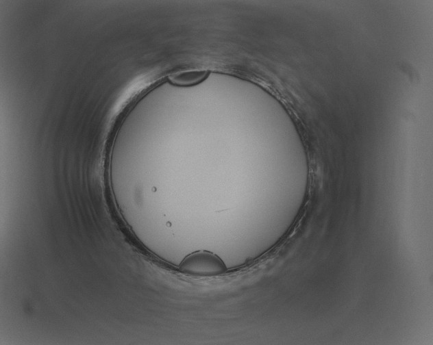 X0000116580006200912241703