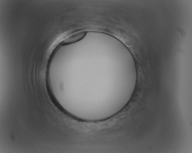 X0000116580007200912241703