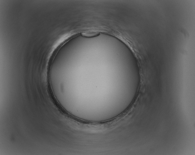 X0000116580008200912241703