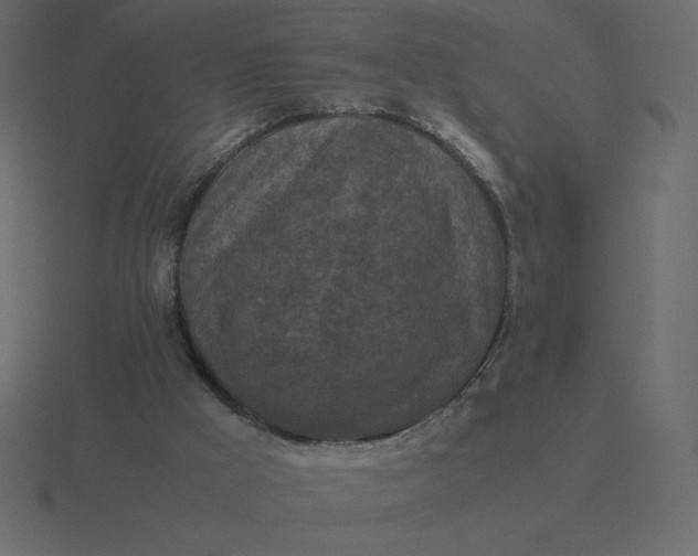 X0000116580009200912241703