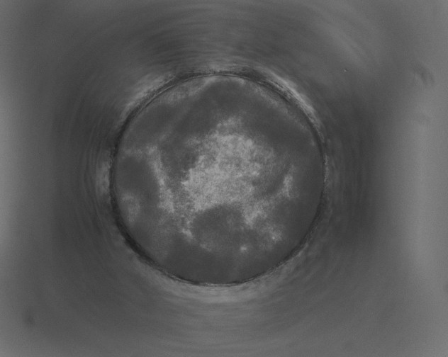 X0000116580010200912241703