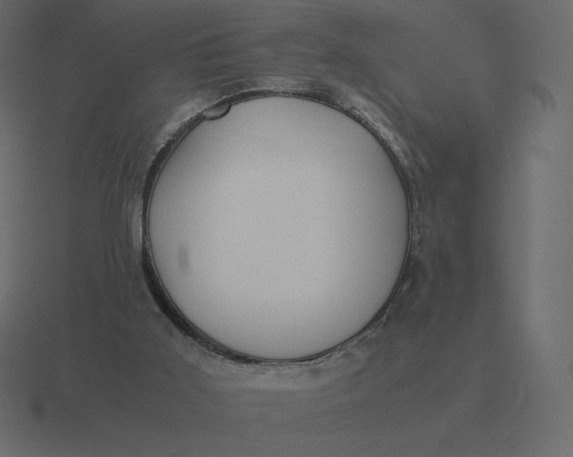 X0000116580011200912241703