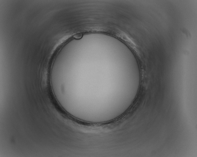 X0000116580012200912241703