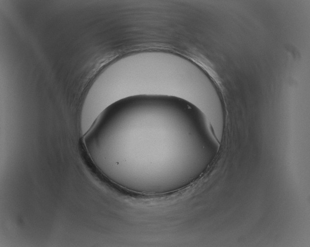 X0000116580013200912241703