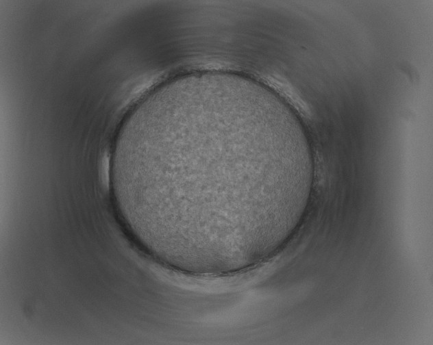 X0000116580014200912241703