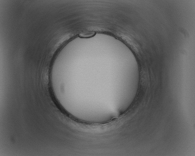 X0000116580015200912241703