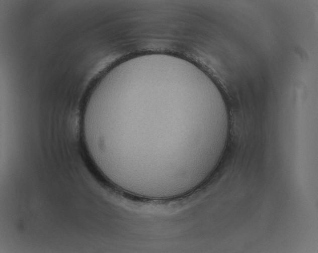 X0000116580016200912241703