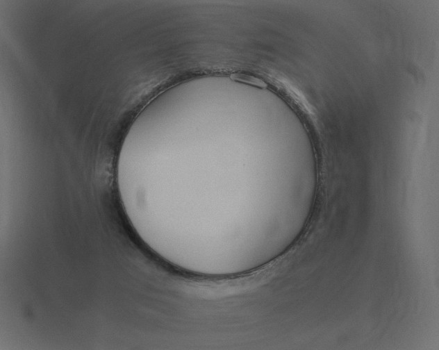 X0000116580017200912241703