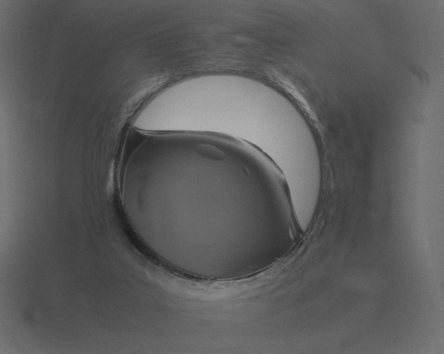 X0000116580019200912241703