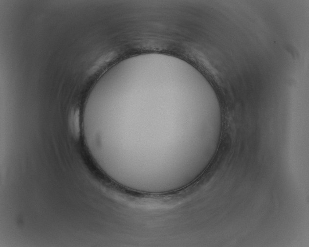 X0000116580020200912241703