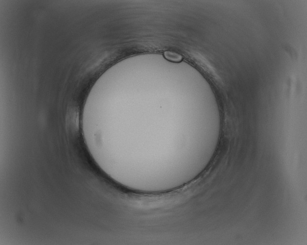 X0000116580021200912241703