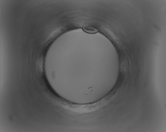 X0000116580023200912241703