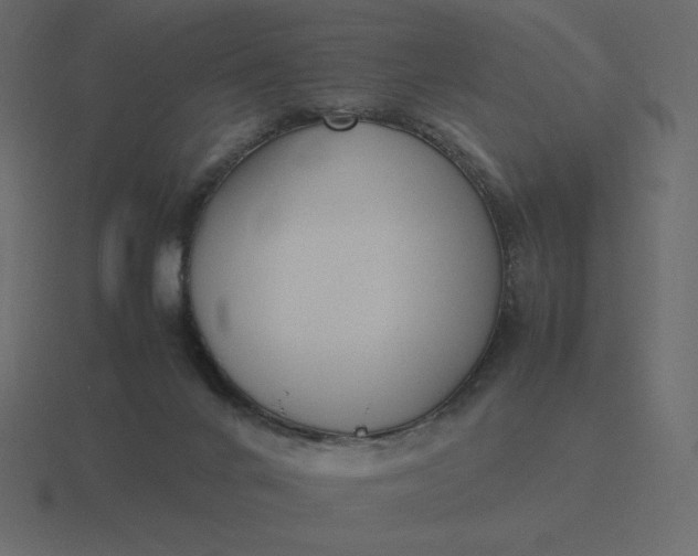 X0000116580024200912241703