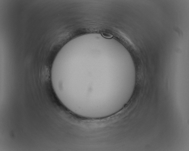 X0000116580025200912241703