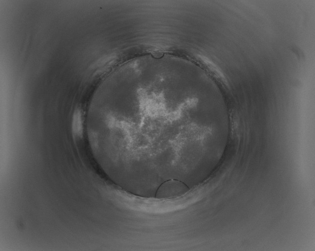 X0000116580026200912241703