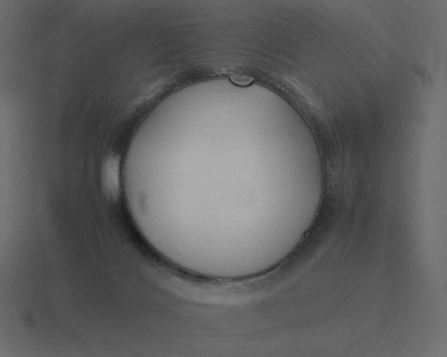 X0000116580028200912241703