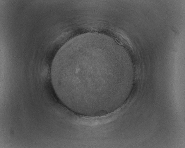 X0000116580029200912241703