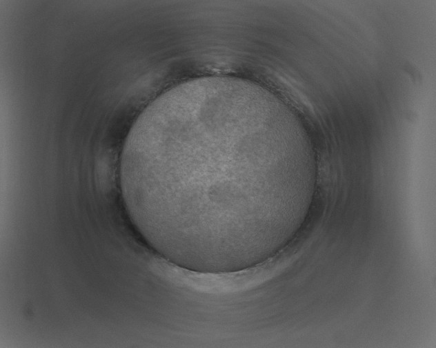 X0000116580030200912241703