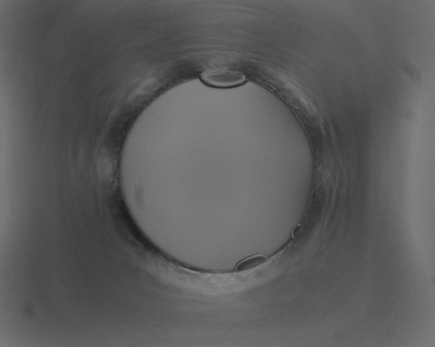 X0000116580031200912241703