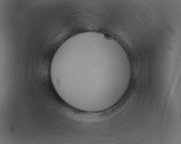 X0000116580032200912241703