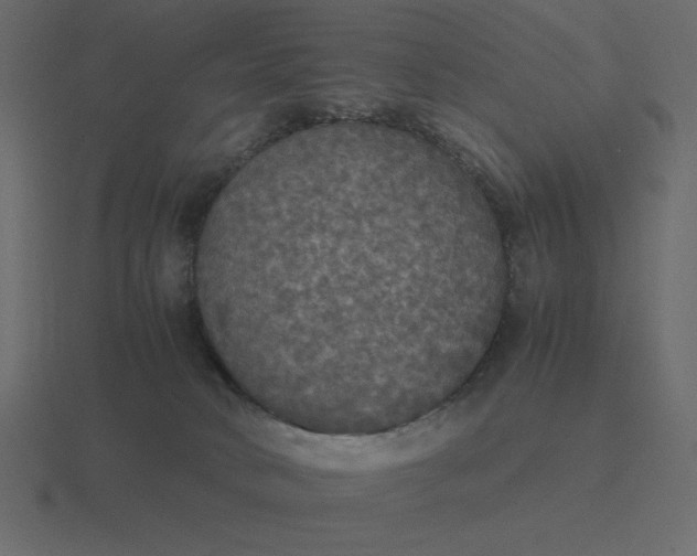 X0000116580034200912241703