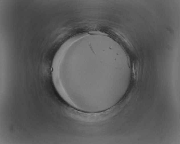 X0000116580035200912241703